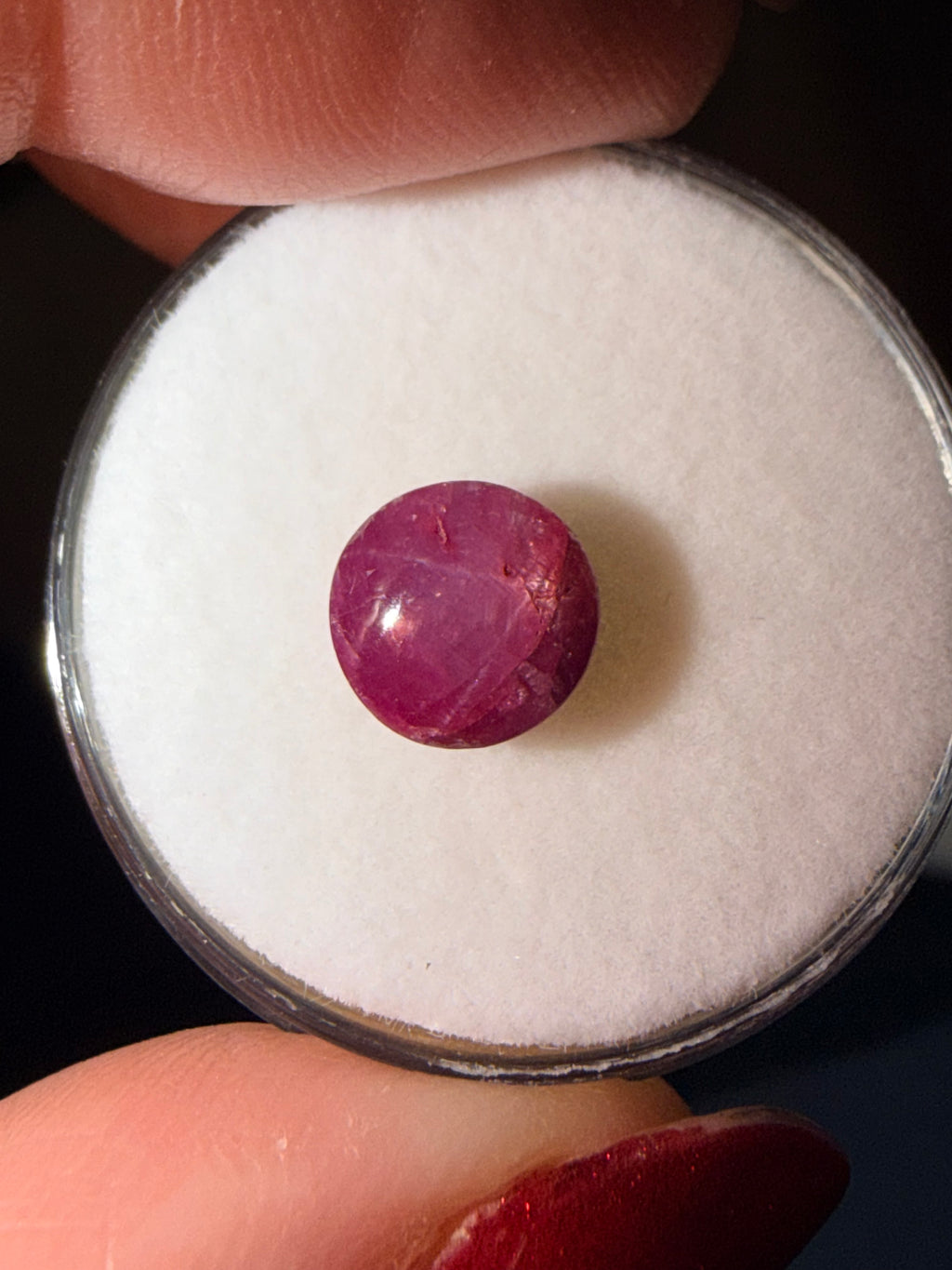Ruby Star 7.3 × 7.2mm 2.64ct