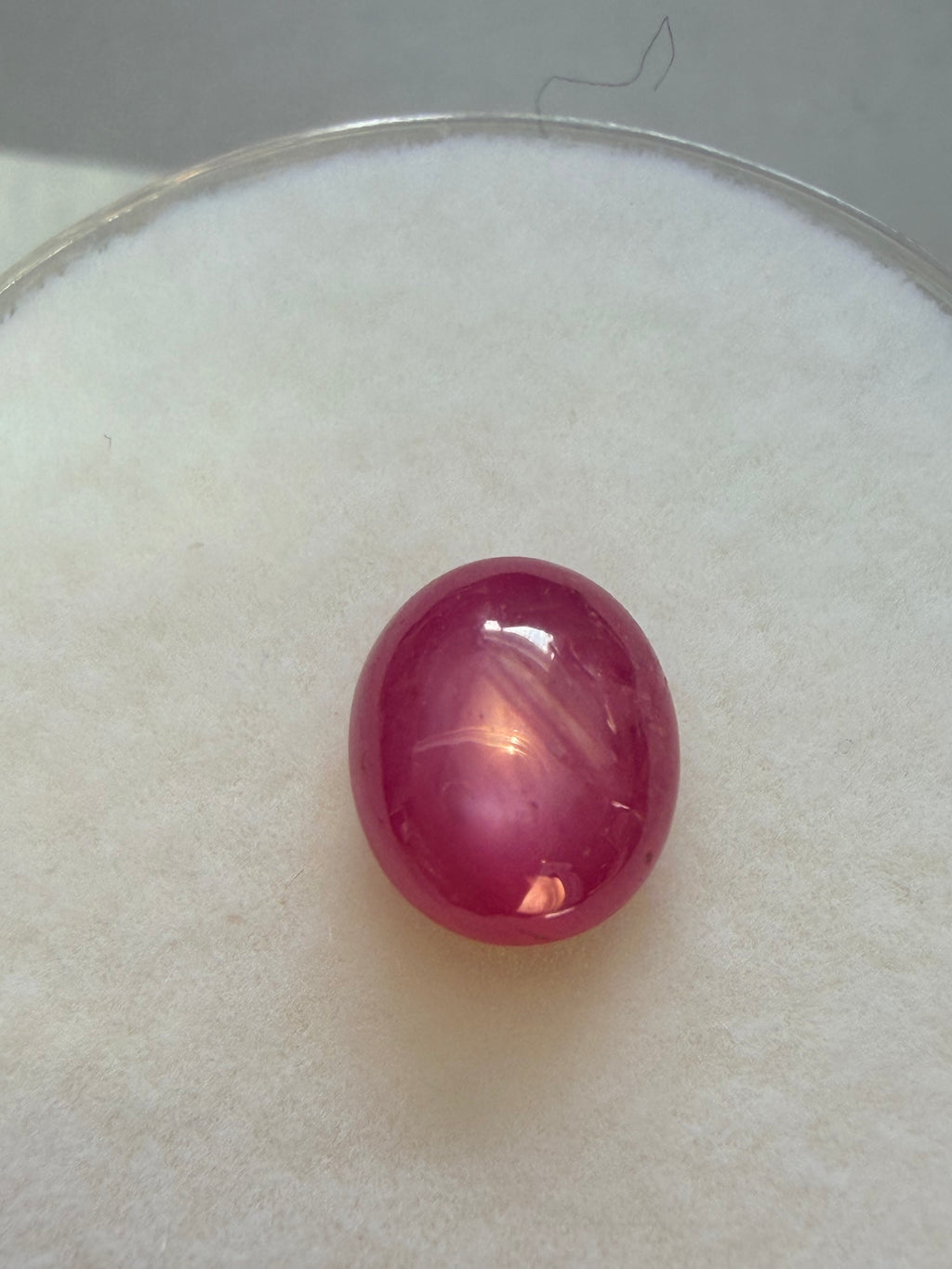 Ruby Star Oval 8.6 × 7.4mm 1.99ct