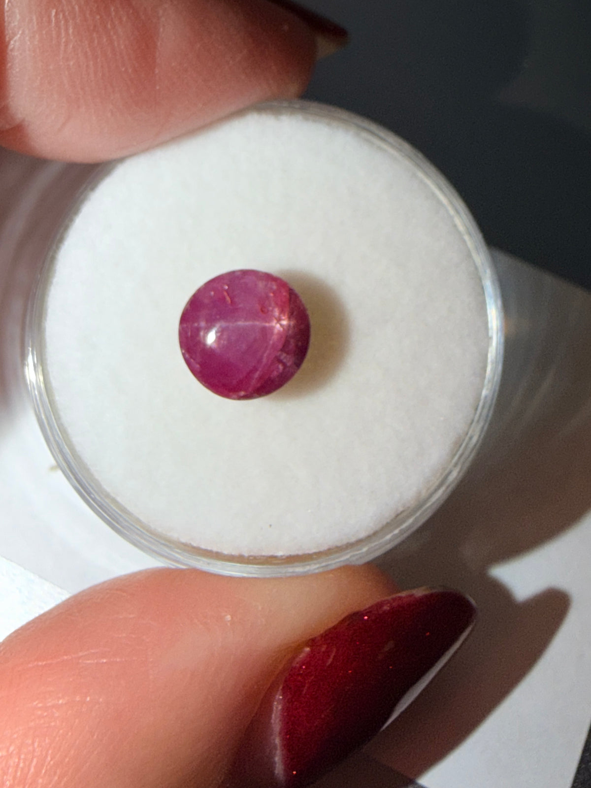 Ruby Star 7.3 × 7.2mm 2.64ct
