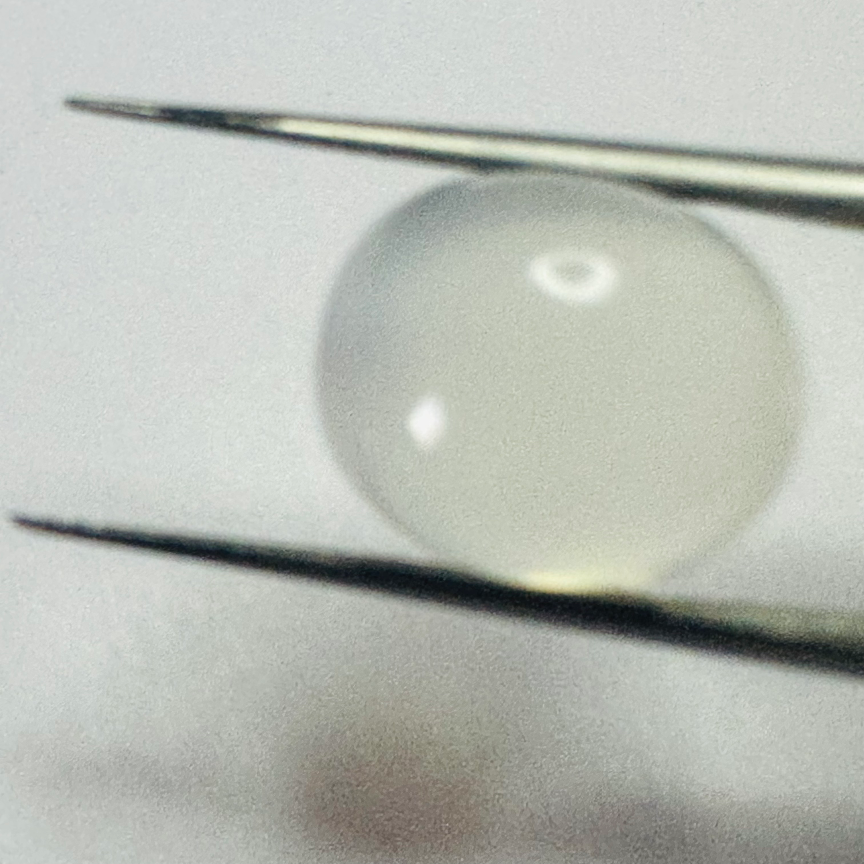Moonstone  white moon oval 13.2mmx11mm  8.52cts image 3