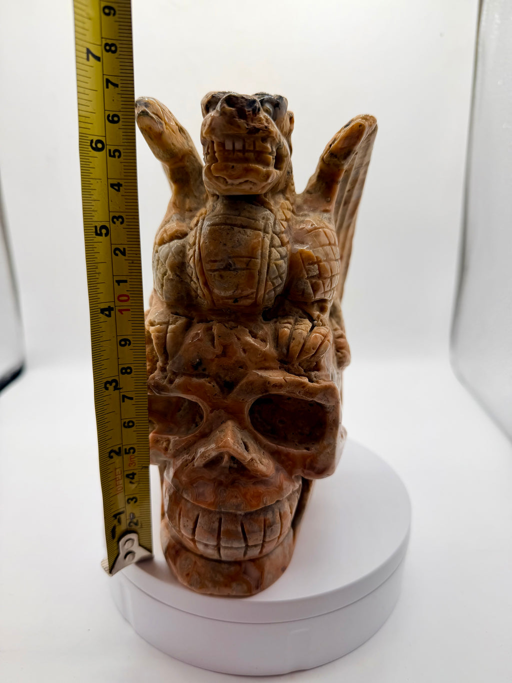 Crazy Lace Agate Skull Dragon Carving – Hand-Carved Gemstone Gothic Sculpture (2 image 1