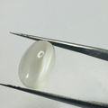 Moonstone  white moon oval 12.4mmx8mm  4.16cts image 0