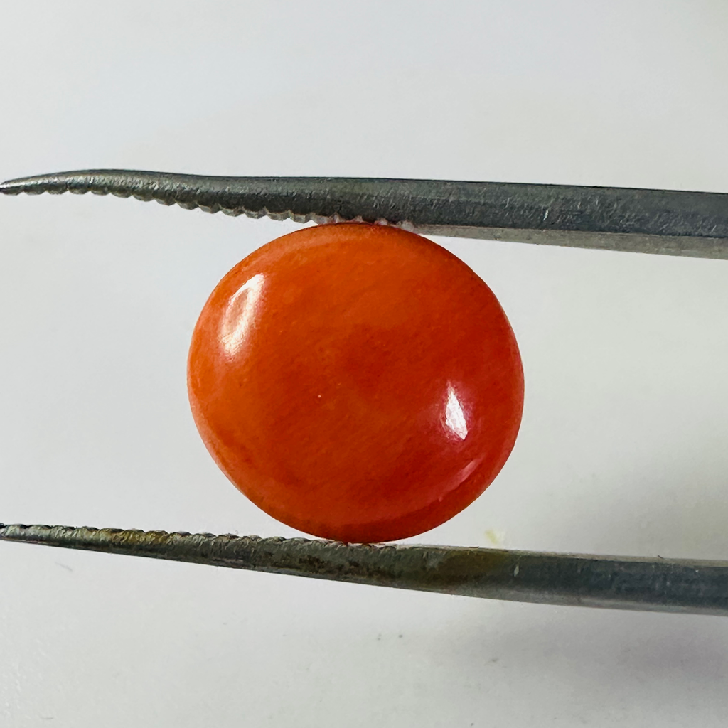 CORAL ROUND 11MM  3.32CTS image 0