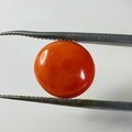 CORAL ROUND 11MM  3.32CTS image 0