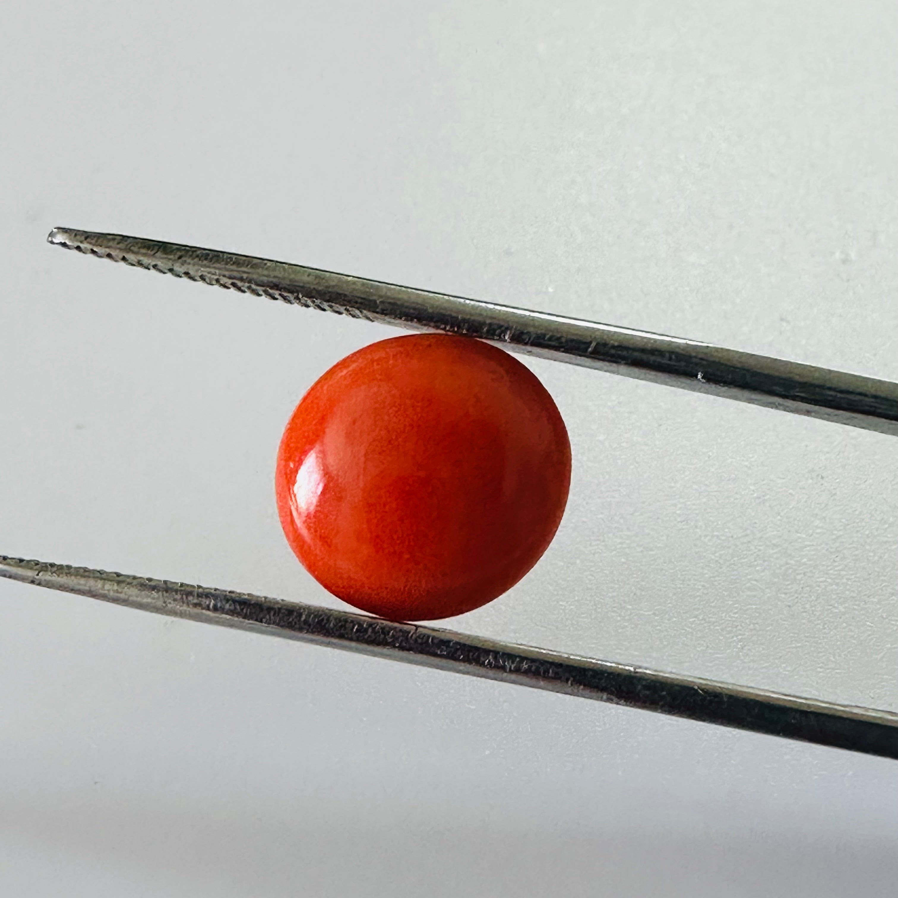 CORAL ROUND 11MM  3.32CTS image 1