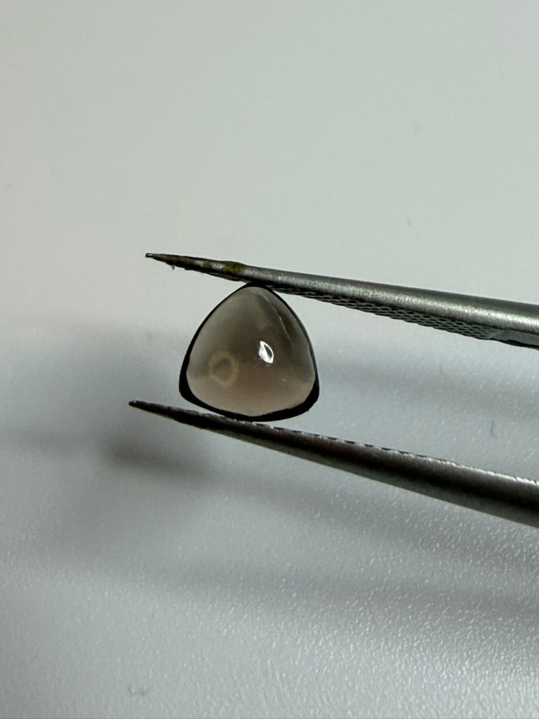 Natural Smoky Quartz | Trillion Cabochon | 6mm x 6mm | Loose Gemstone