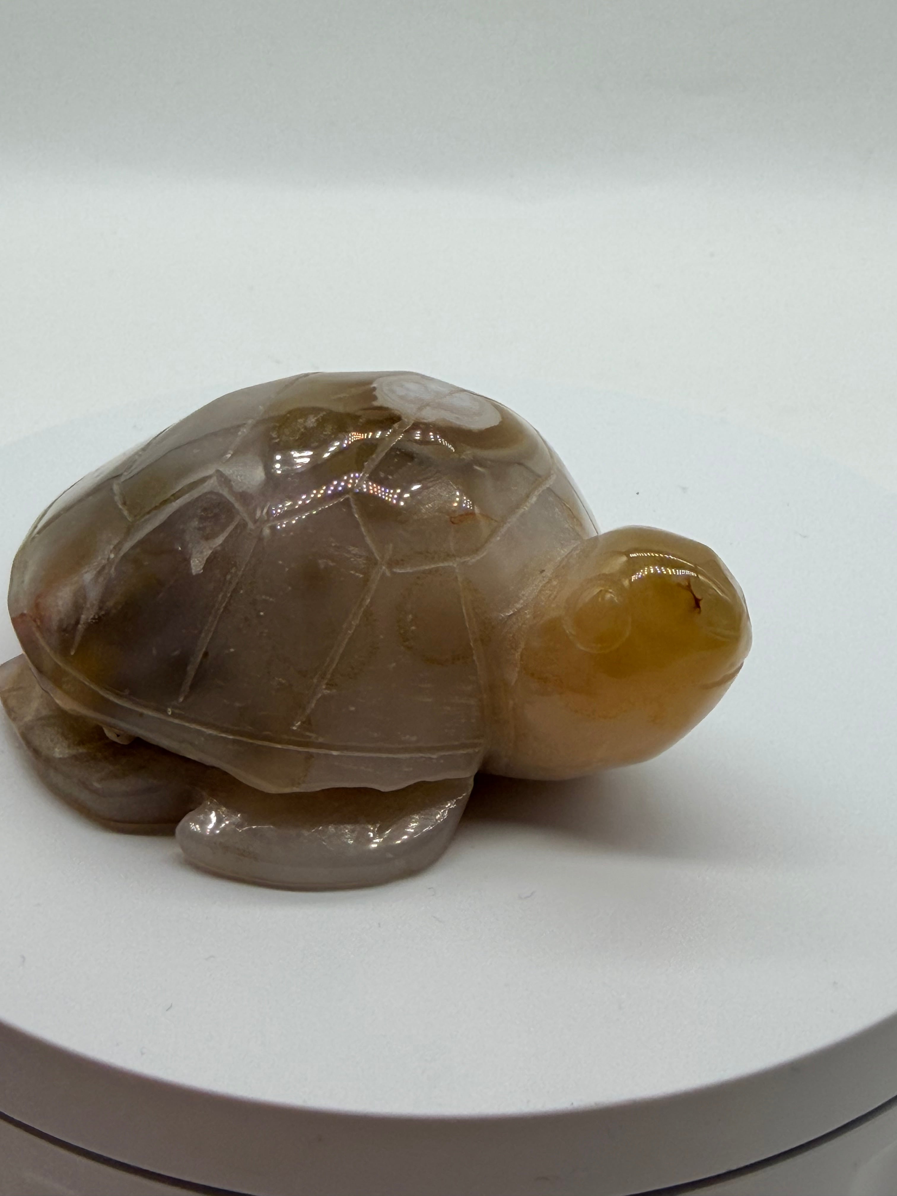 Flower Agate Carved Turtle Crystal Figurine – Healing Meditation Stone Decor image 5