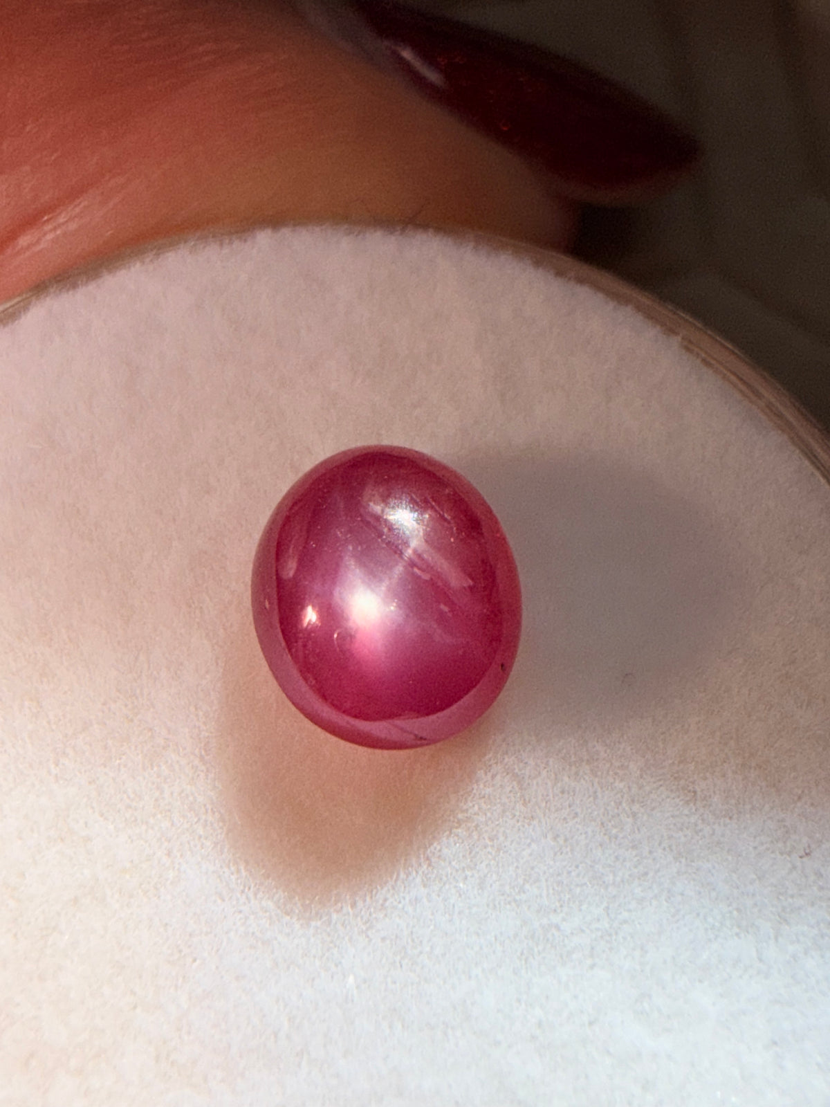 Star Ruby Oval Cabochon 6.5mmx5.5mm 1.36ct