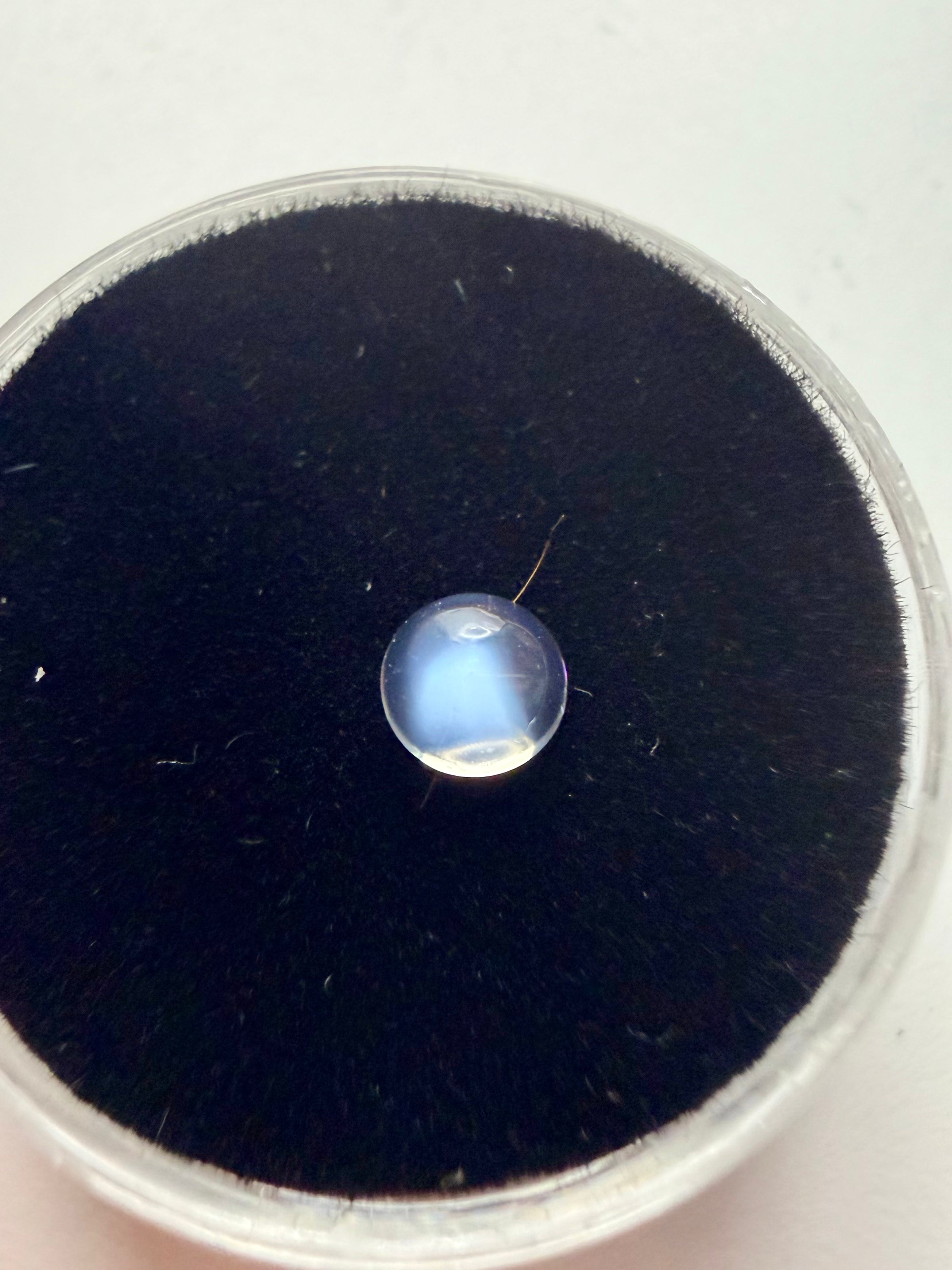 Moonstone cab 4.8mm round with blue moon