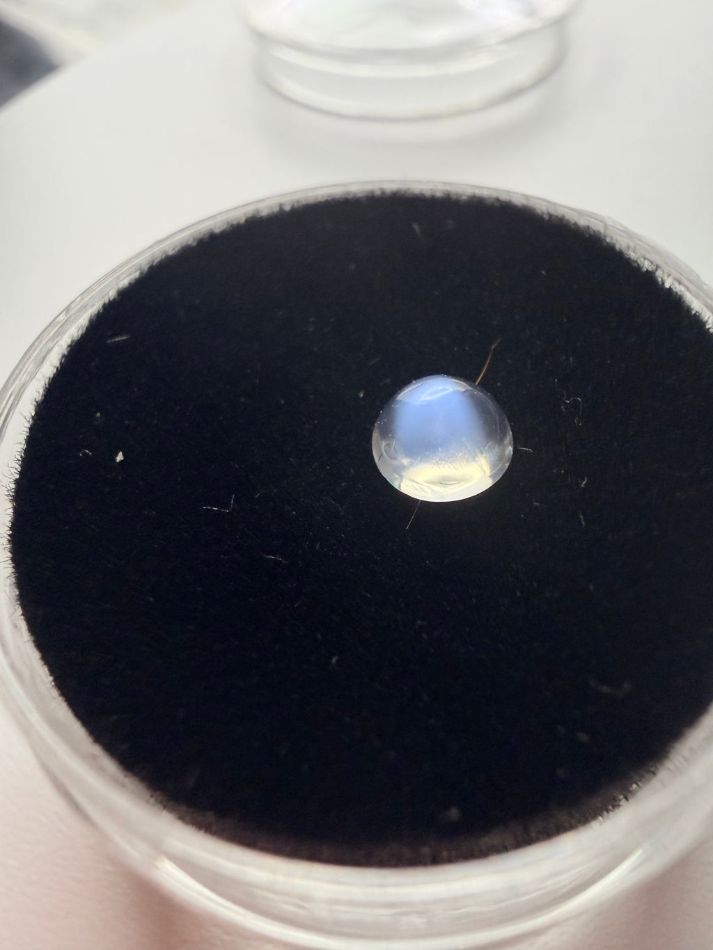 Moonstone cab 4.8mm round with blue moon
