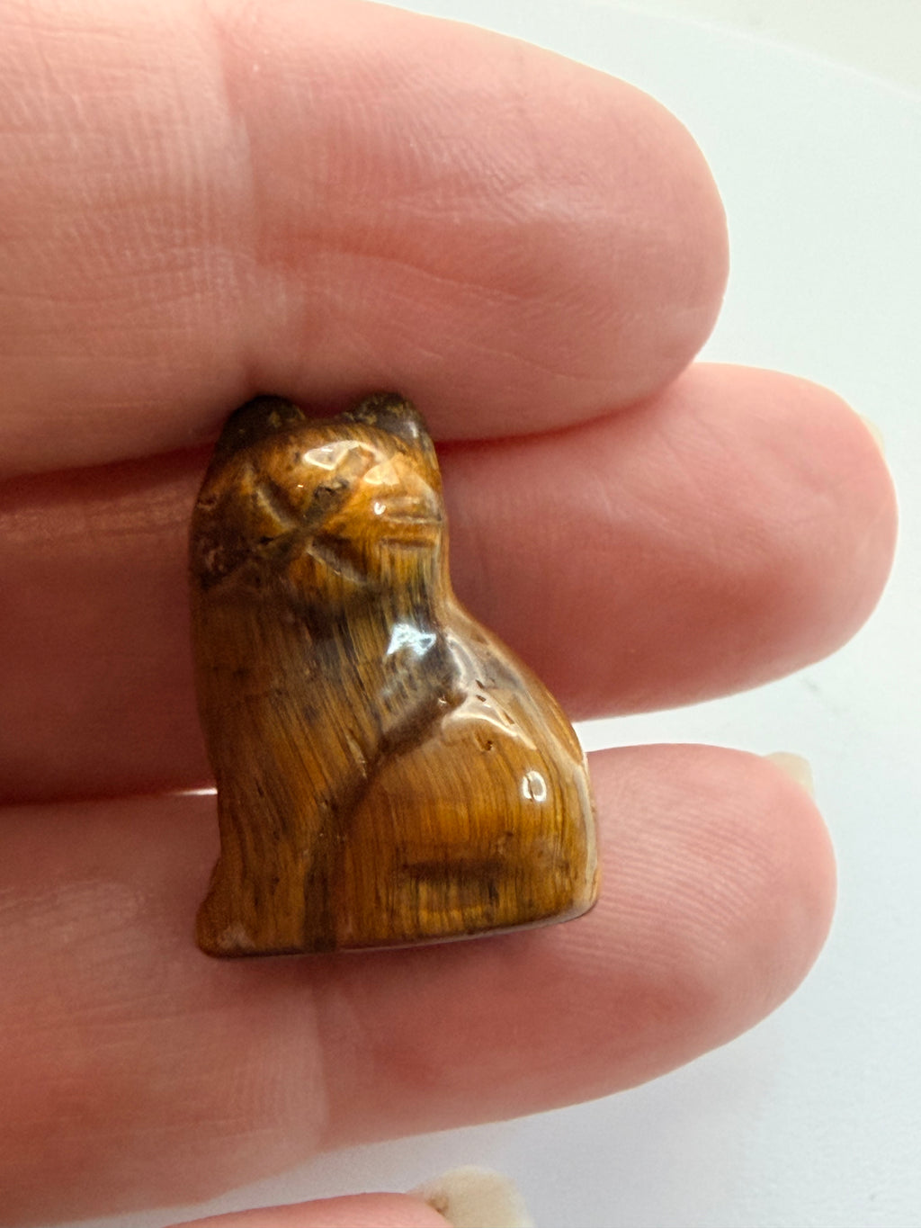 Mini carved cat in tigers eye