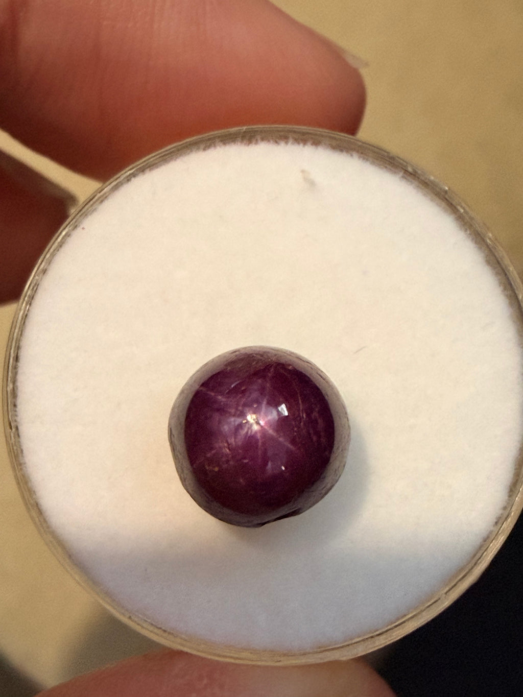 Star Ruby 8.5mm Round Cabochon 6.00ct