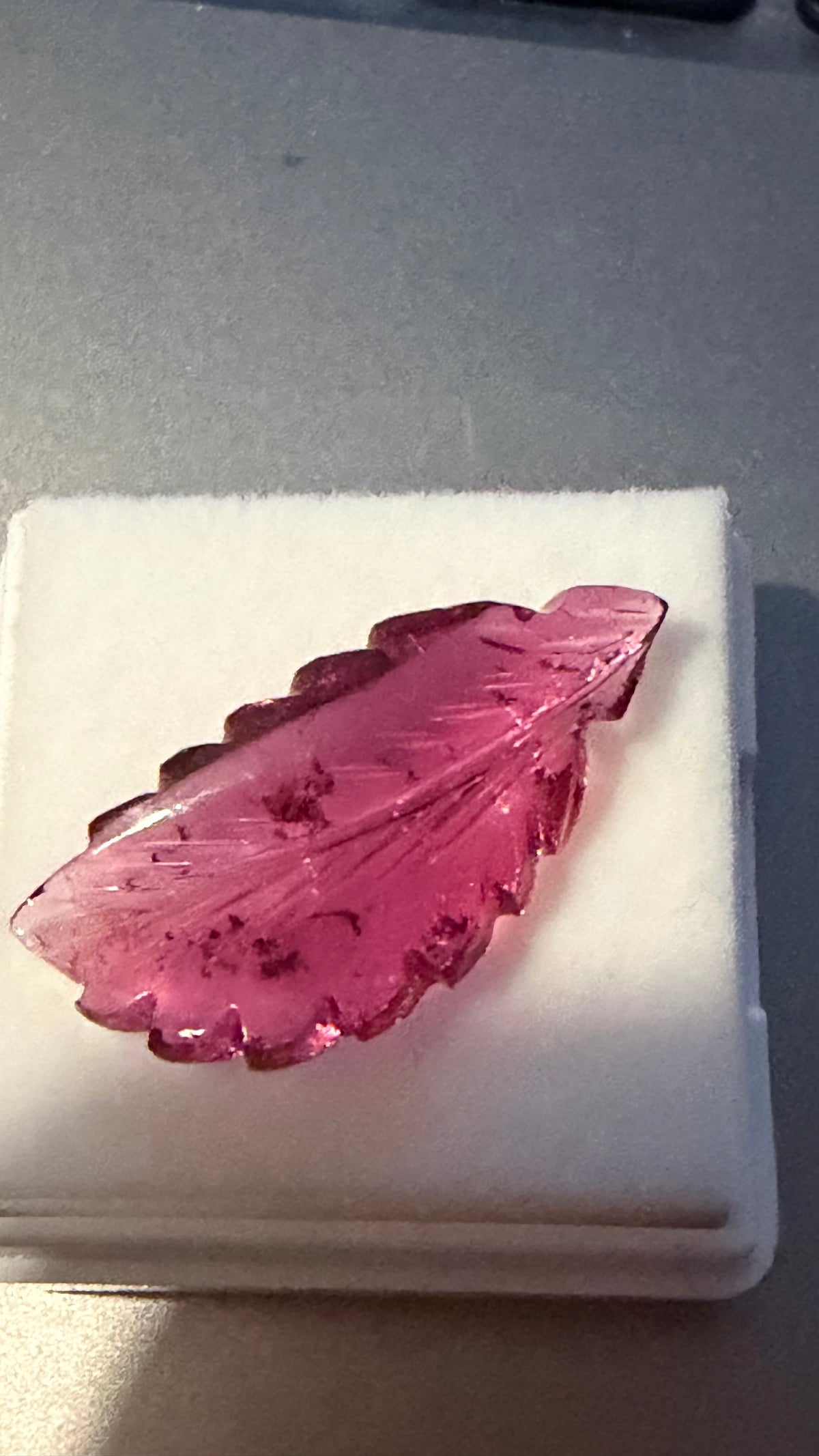 Tourmaline Red Engraved Leaf 24.6mm × 11.6mm 7.59cts