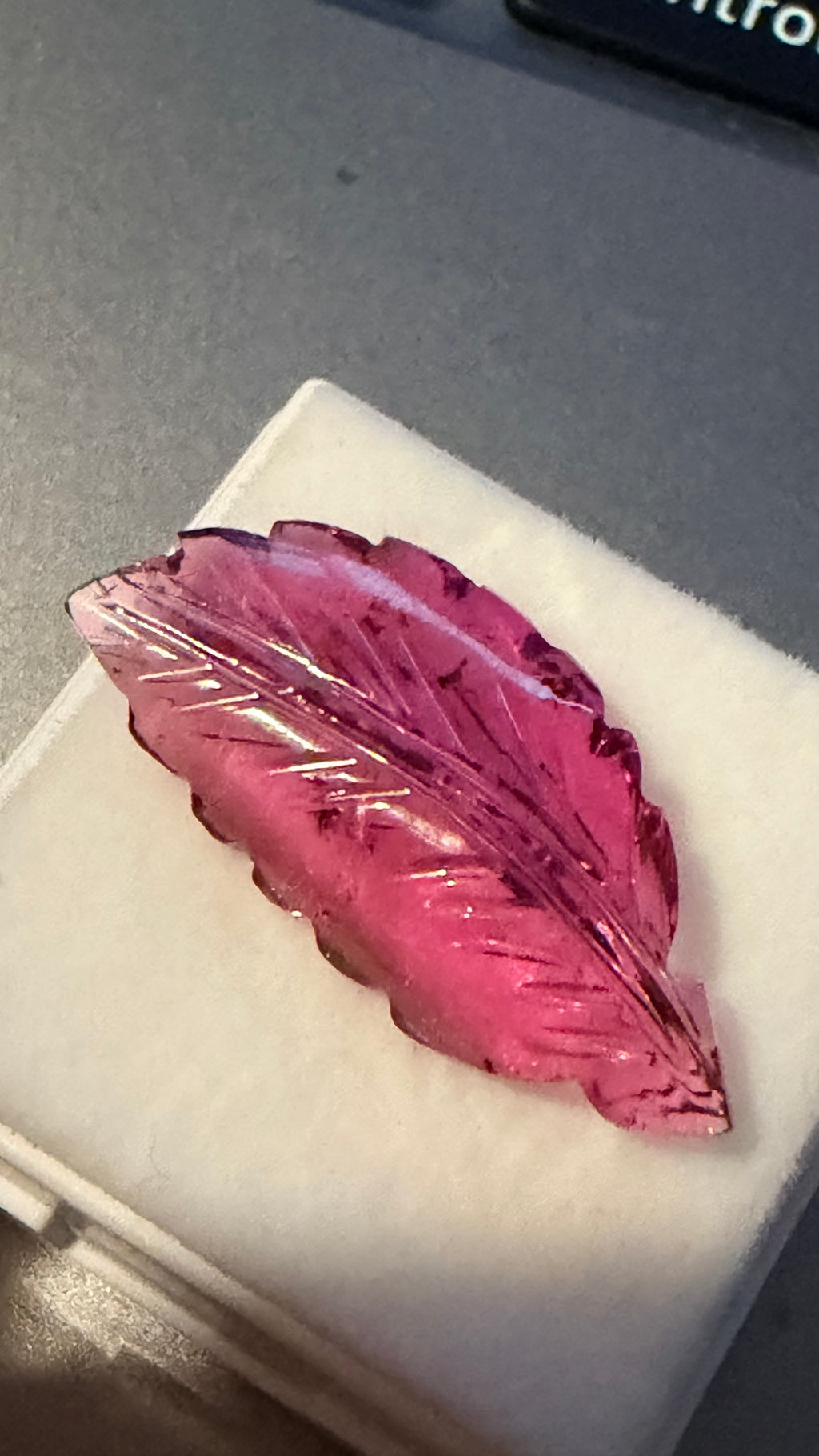 Tourmaline Red Engraved Leaf 24.6mm × 11.6mm 7.59cts
