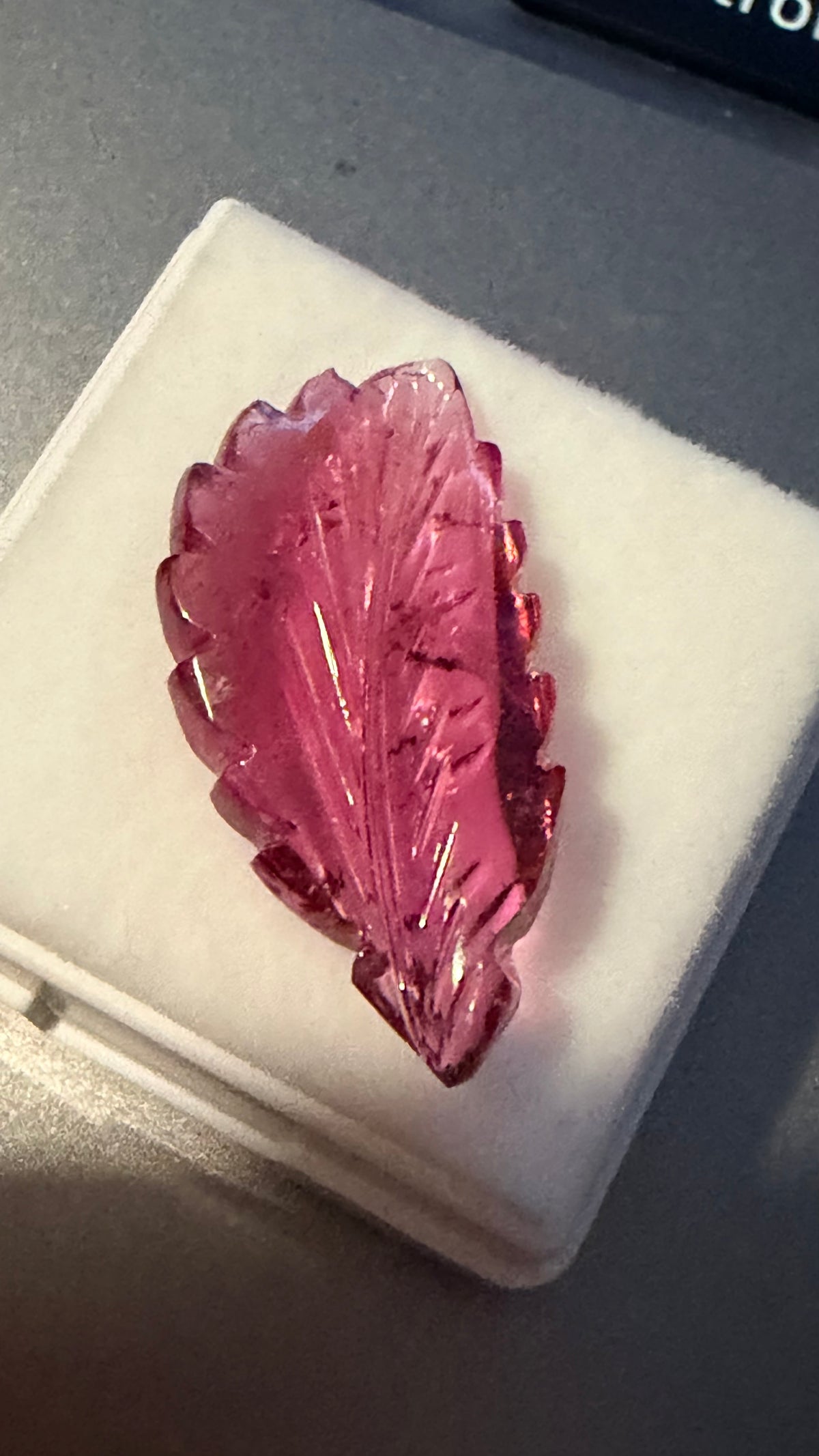 Tourmaline Red Engraved Leaf 24.6mm × 11.6mm 7.59cts