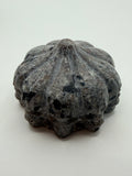 Yooperlite Skull Paperweight | UV Reactive Fluorescent Gemstone Sculpture