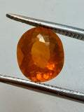 Natural Fire Opal | Oval Cut | 8.6mm x 7.4mm | 1.36cts | Loose Gemstone
