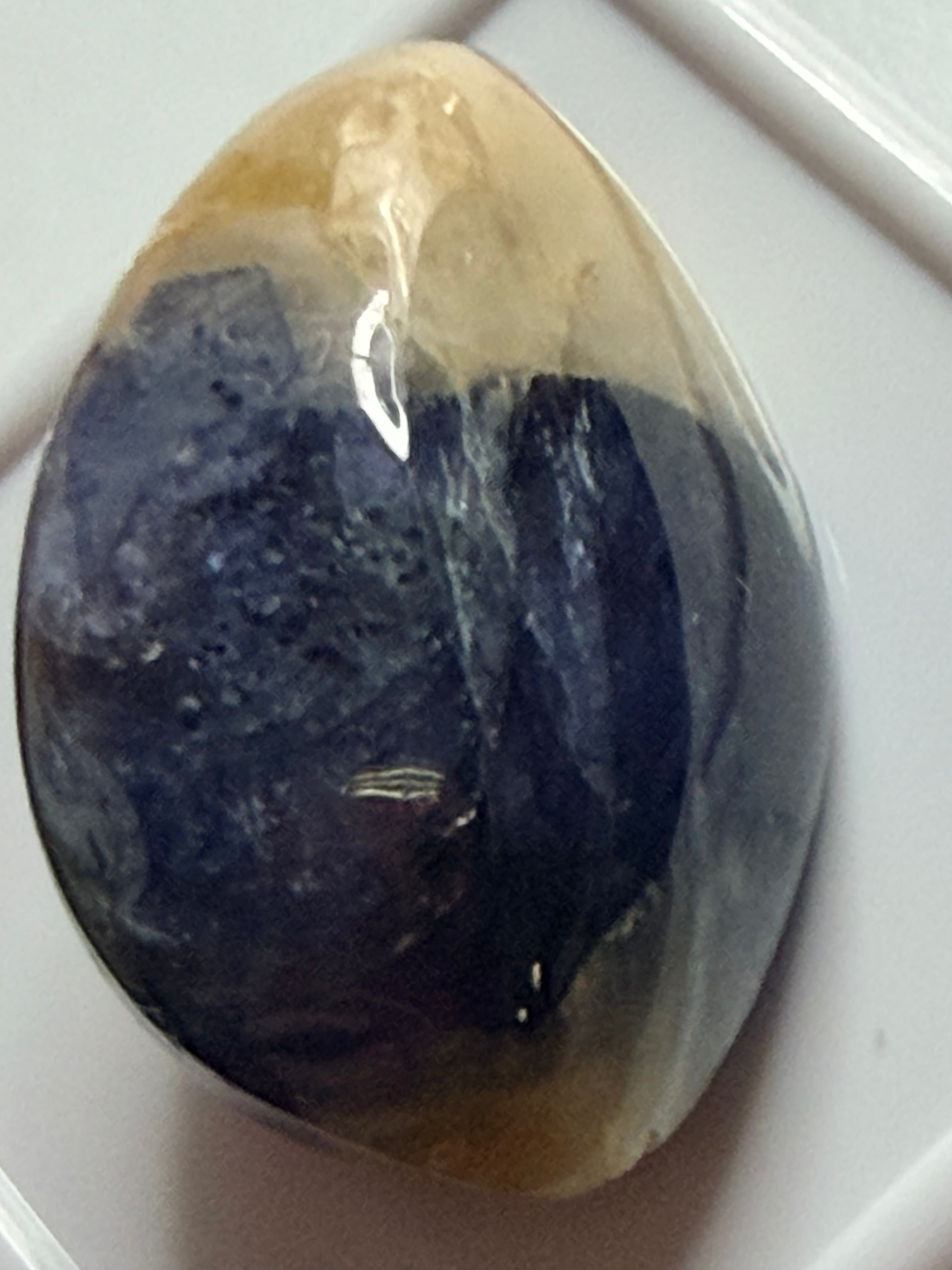 Natural Bi-Colour Sapphire 26.50ct – Fancy Cabochon – 22x14mm