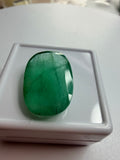 Natural Emerald 7.46ct – Large Oval Cut – 17x11.8mm