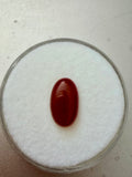 Cornelian Oval Cabochon 10x6mm