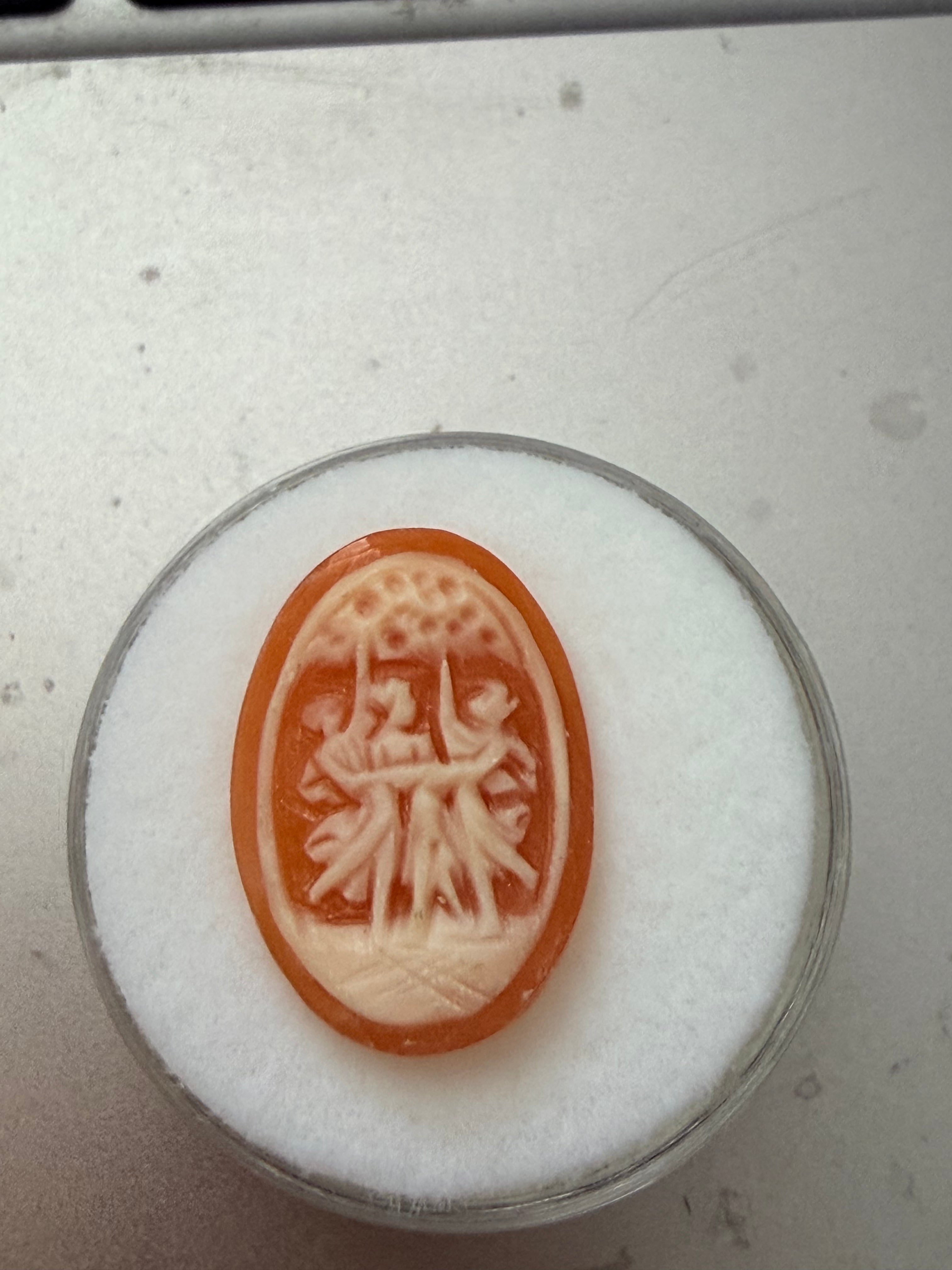 Shell Cameo Oval 18x12mm