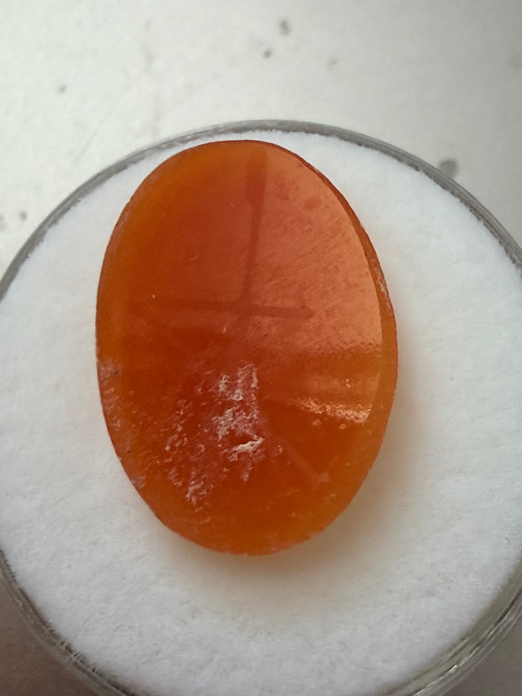 Shell Cameo Oval 18x12mm