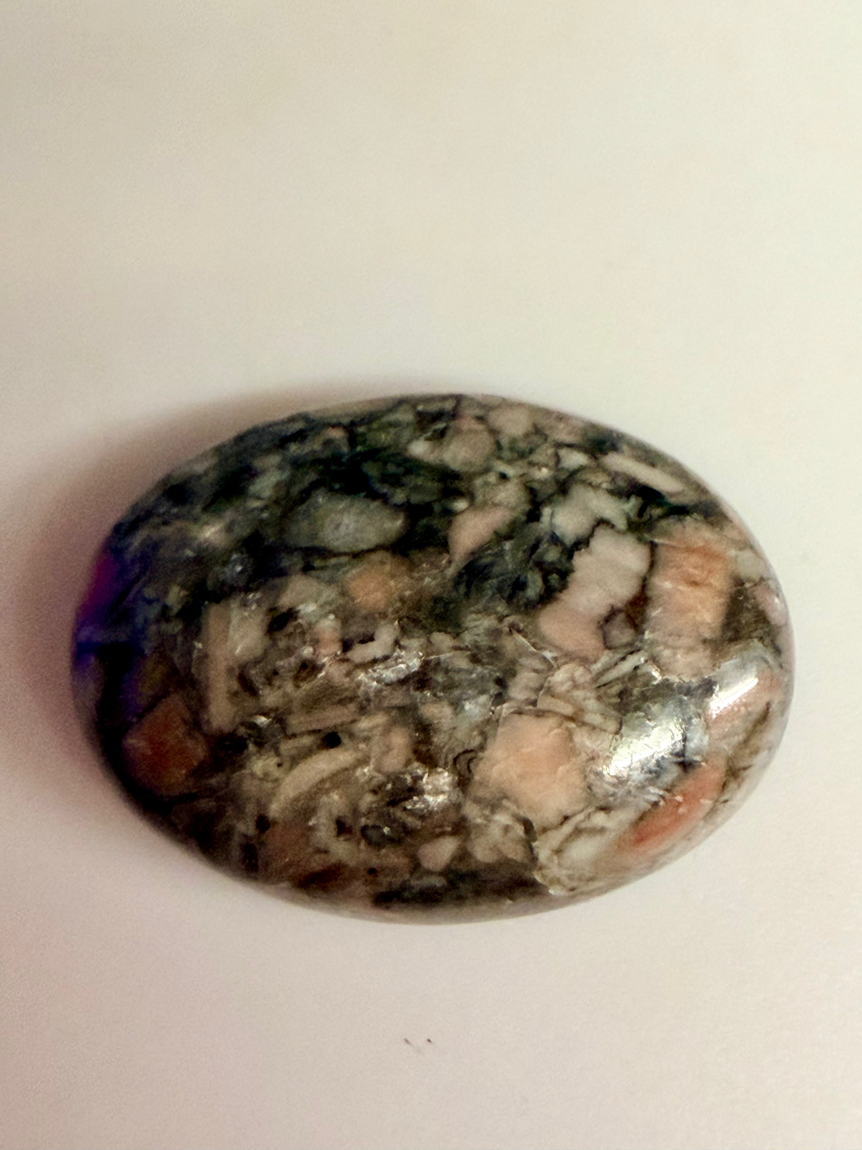 Fossil Stone Oval 18x13mm