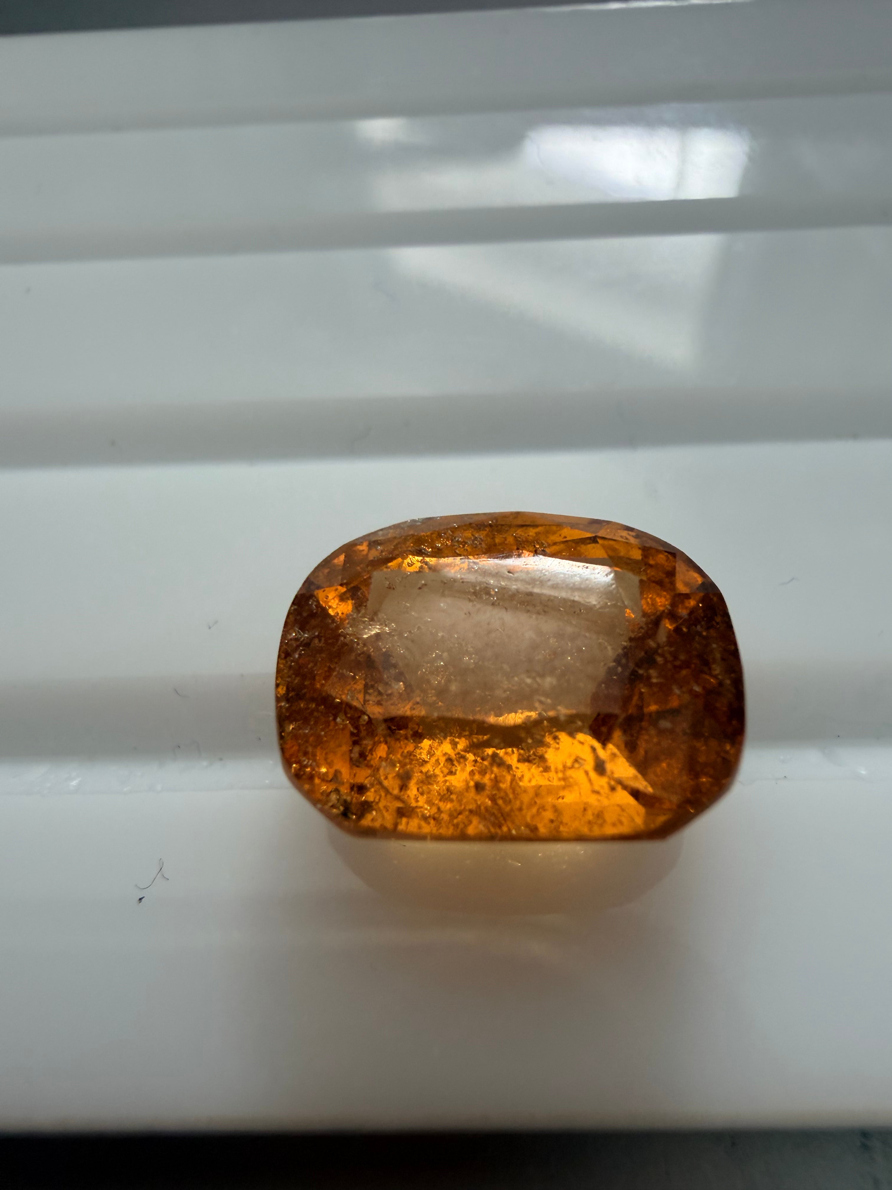 Orange Garnet Ken Cut 13.4x10.5mm 9.82ct