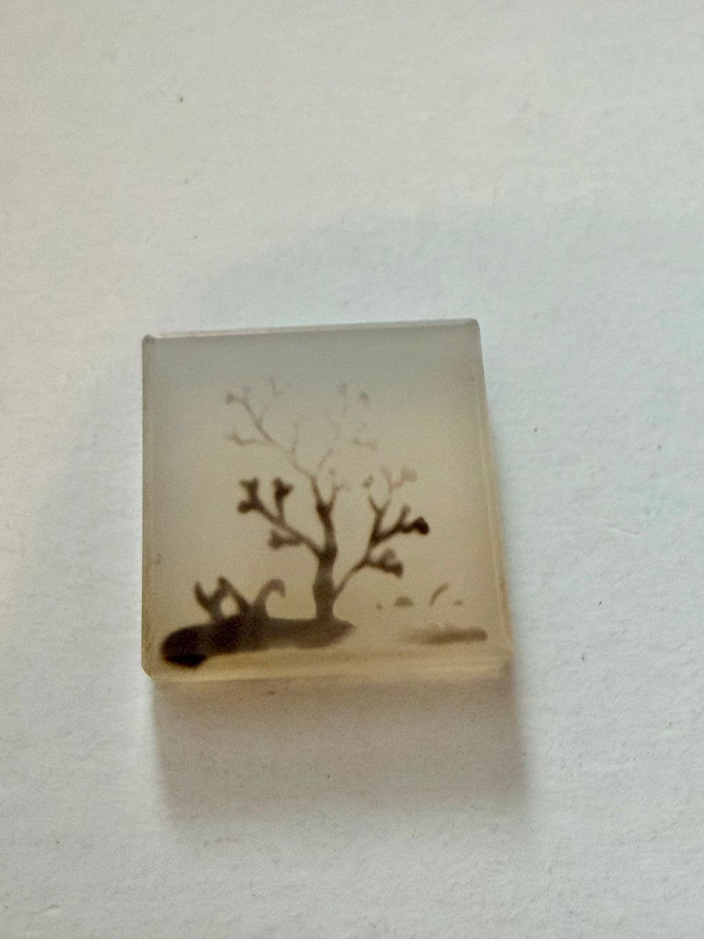Dendritic Agate Square 20mm 26.41ct