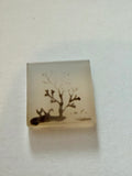 Dendritic Agate Square 20mm 26.41ct