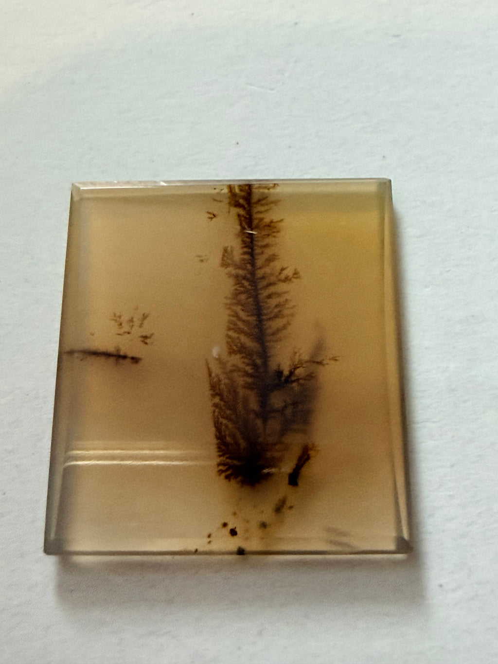 Dendritic Agate 23.8x21mm 15.59cts