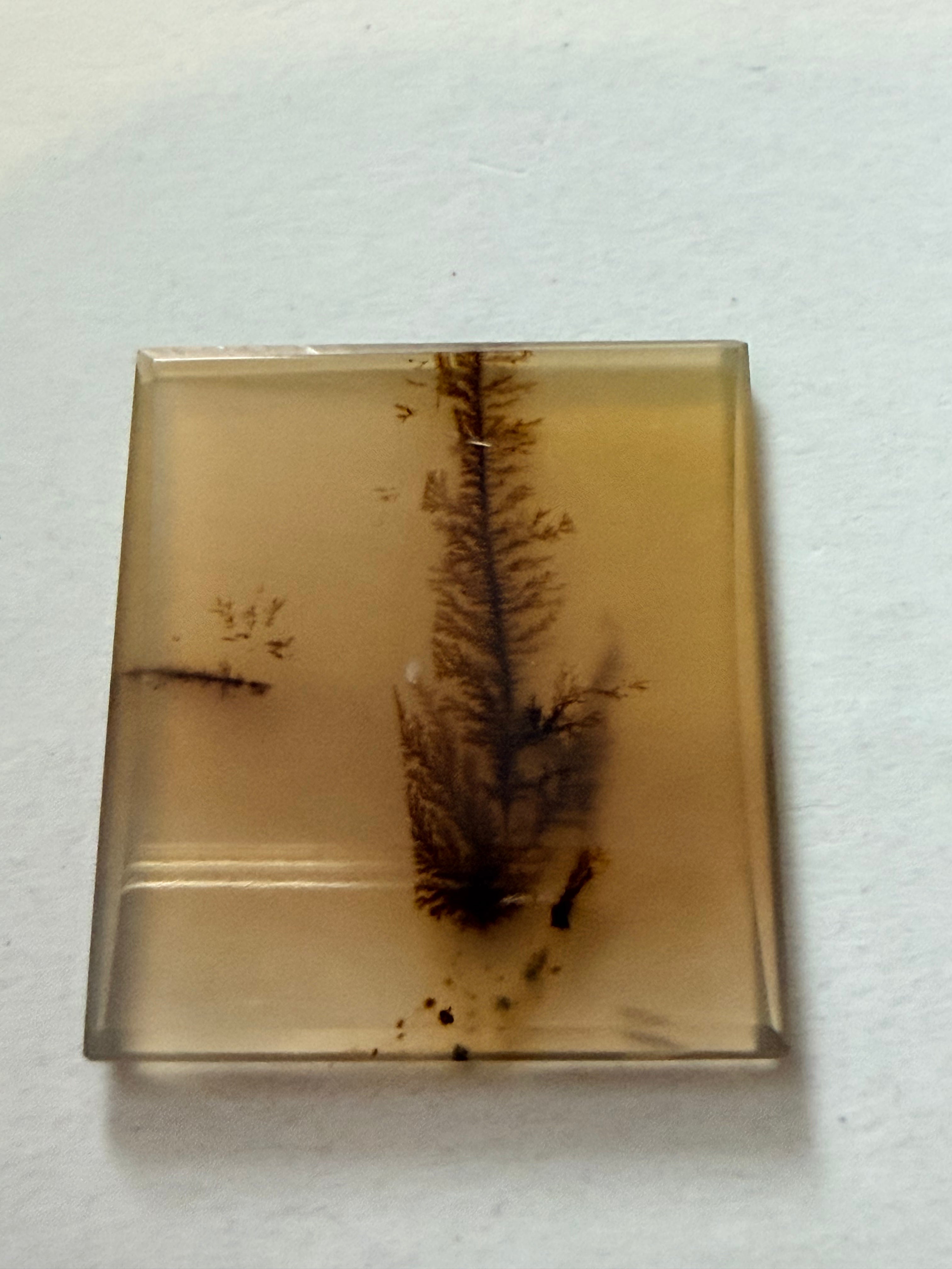 Dendritic Agate 23.8x21mm 15.59cts