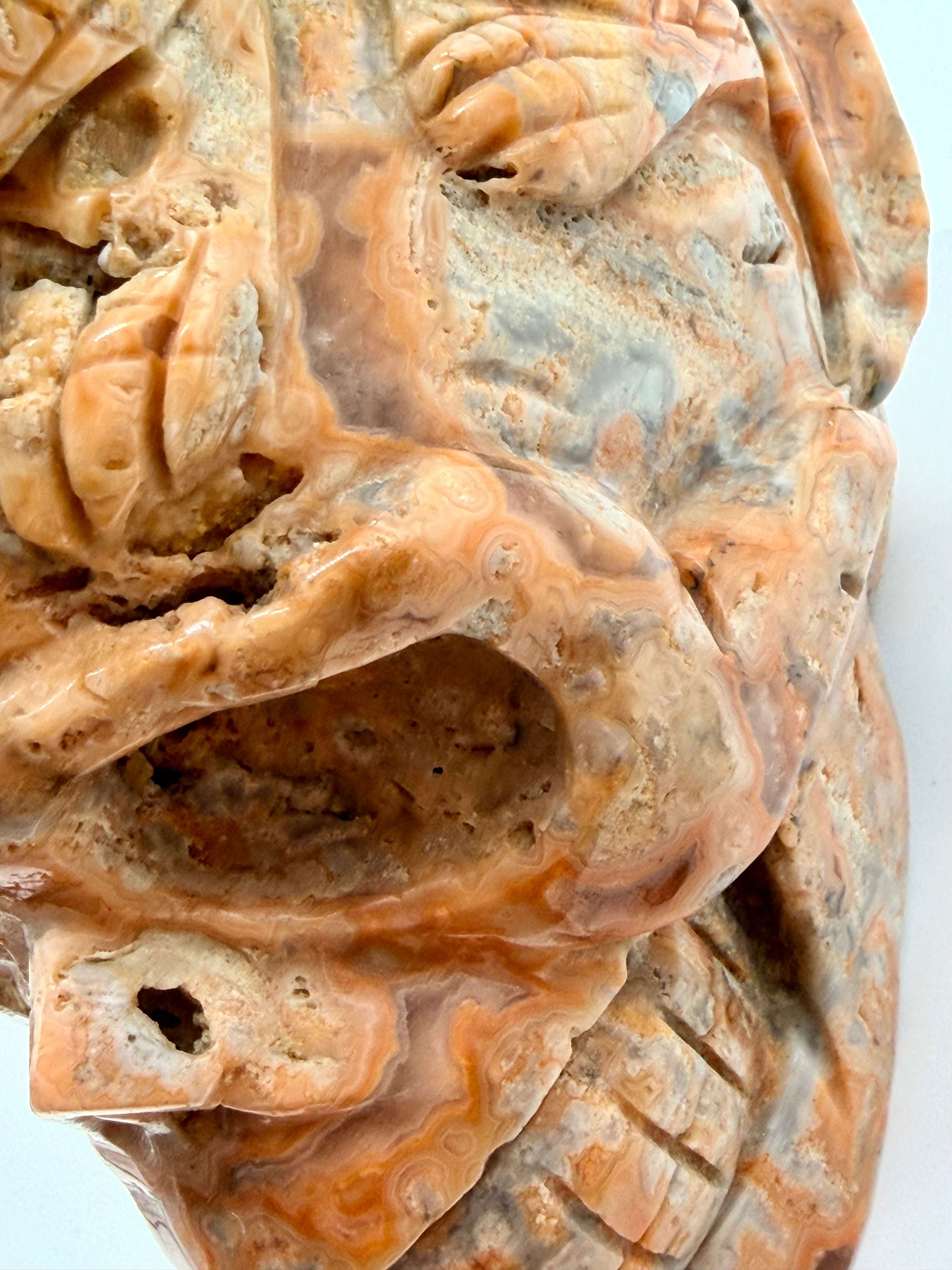 Crazy Lace Agate Skull Dragon Carving – Hand-Carved Gemstone Gothic Sculpture (2 image 4