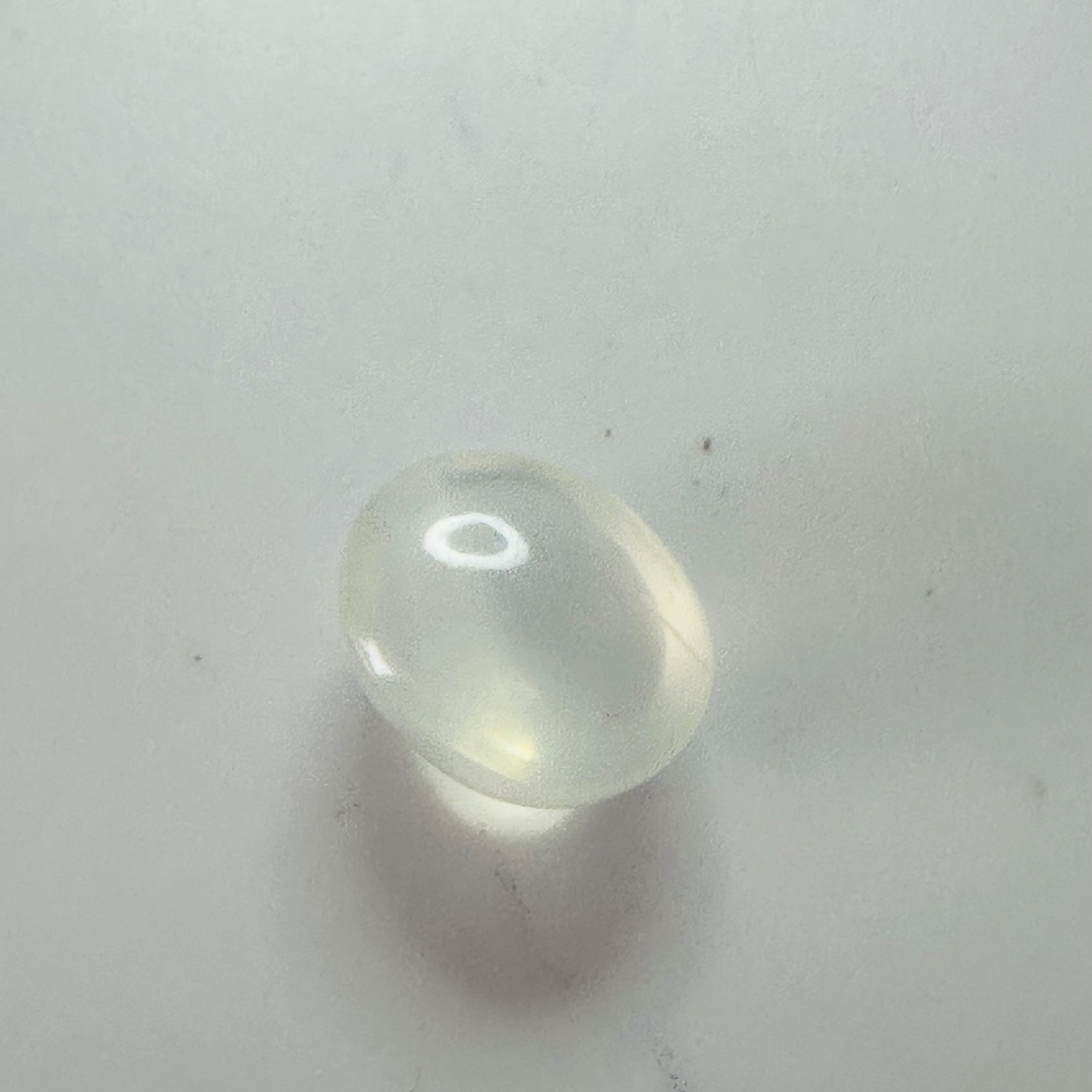 Moonstone  white moon oval 14.4x11.9mm  11.89cts image 4
