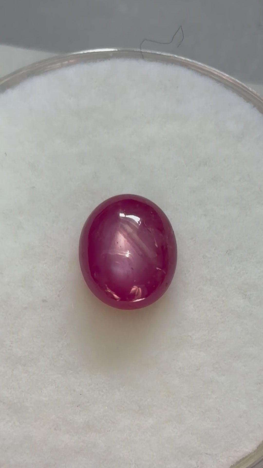 Star Ruby Oval Cabochon 6.5mmx5.5mm 1.36ct